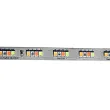 RGBW Phosphor Converted LEDs - 2