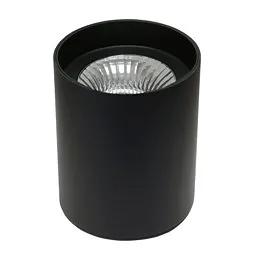 Downlight Lino Aqua 55W
